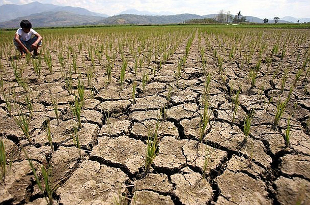 Drought-in-Isabela-area